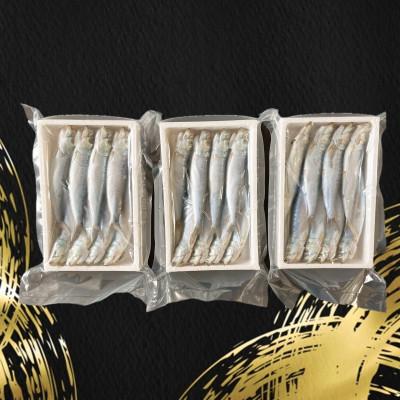 ふるさと納税 南知多町 いわし丸干し 24尾(8尾×3パック) 冷凍 小分け カネ成の金鯱いわし 干物 |  | 01