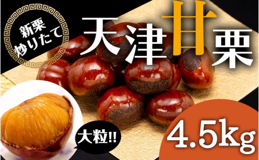 無添加 大粒天津甘栗 4.5kg 【沖縄県・離島配送不可】