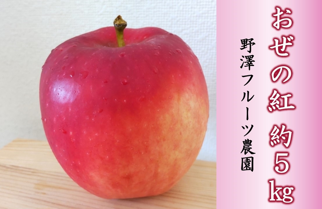 
            446 先行予約【贈答用】りんご おぜの紅 5㎏ 【野澤フルーツ農園】 ９月中旬発送
          