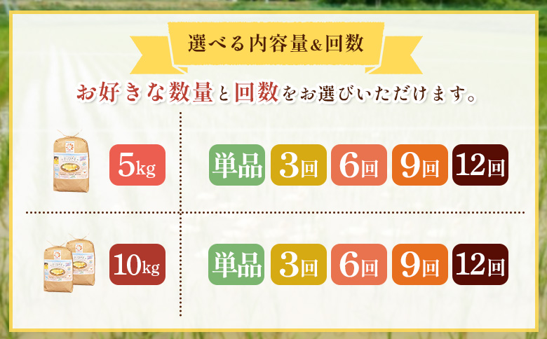 《数量限定先行受付！令和8年産米》【12回定期便】合鴨農法ななつぼし 【玄米】【有機肥料/無農薬・無化学肥料･備蓄用】 令和8年度米 5kg(1kg×5袋)　水田環境鑑定・米食味鑑定士鑑定米【Yesc