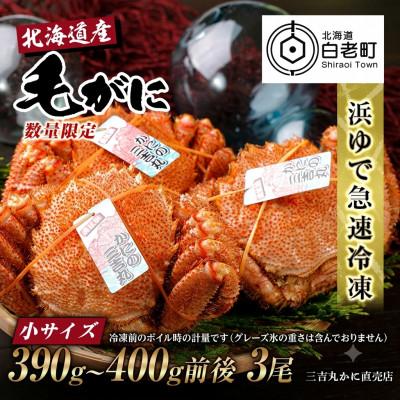 ふるさと納税 白老町 【浜ゆで自社タグ付】北海道産ボイル毛ガニ390g〜400g前後×3尾
