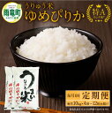 【ふるさと納税】発送回数が選べる! 令和5年産 うりゅう米 ゆめぴりか 10kg（5kg×2袋）定期便！毎月1回(計4回・計6回・計12回)お届け 米 精米 白米 ごはん ブランド おにぎり お弁当 おいしい 甘み お取り寄せ 北海道 雨竜町 送料無料