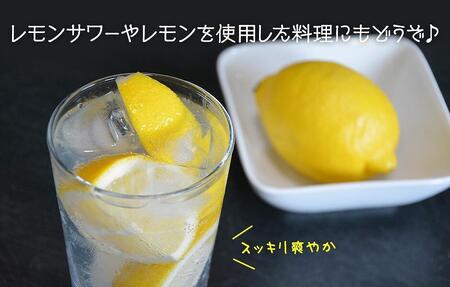 レモン 中玉 国産 箱込5kg(内容量約4.4kg) 秀品 L 2L 3L サイズミックス 和歌山県有田産 【みかんの会】