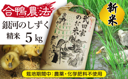 《令和５年度産》武田家のお米 銀河のしずく（精米）５kg＜合鴨農法＞【米農家 仁左ェ門】 / 米 白米 ５キロ アイガモ