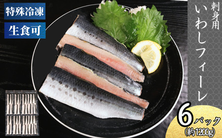 冷凍 いわしフィーレ 6パック 生食可 いわし
