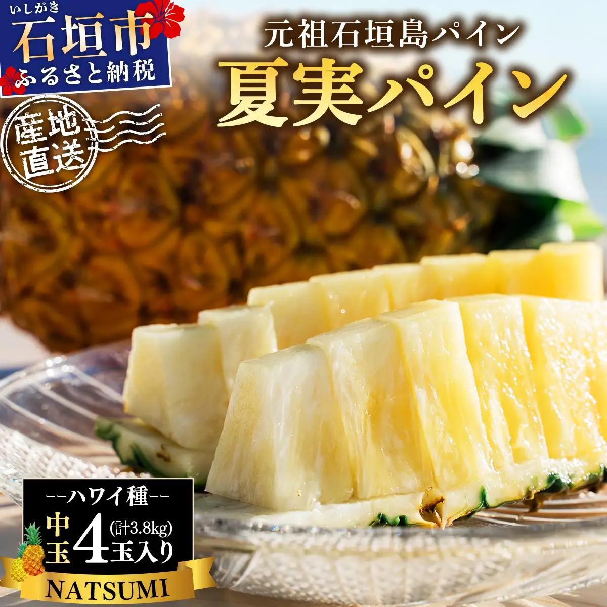 パイナップル 夏実パイン 中玉4玉 約3.8kg