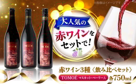 【お歳暮ギフト対象】ワインセット ～三次のMBAを味わう～ 赤ワイン 3本セット マスカット・ベーリーA 3ヴァインヤードセット ワイン 受賞 飲み比べ お酒 地酒 洋酒 テイスティング ソムリエ 広島県三次市産 国産 ぶどう 葡萄 ブドウ ギフト 贈答 プレゼント お取り寄せ ご当地 みよし 三好 記念日 誕生日 人気 三次市/広島三次ワイナリー [APAZ031]