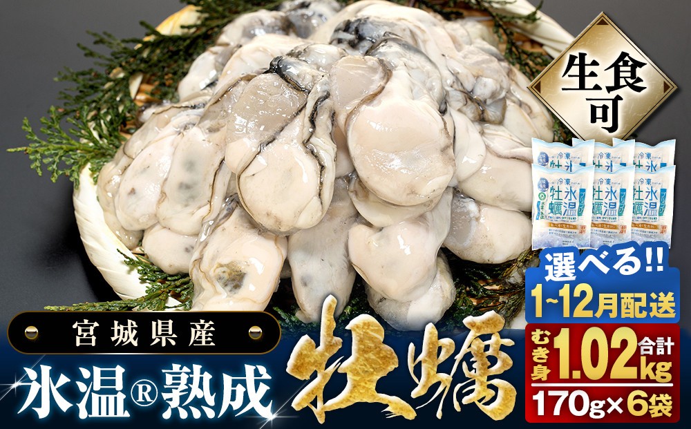 
                  配送月 が 選べる 宮城県産 かき むき身 氷温熟成 牡蠣 生食用（冷凍）6袋 （1袋 170g）生食 むき カキ 冷凍牡蠣 牡蠣むき身 殻なし 1.02kg 小分け 冷凍 バラバラ冷凍 宮城県 石巻市 宮城 石巻 まるたか水産
                