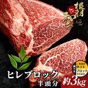 【ふるさと納税】数量限定★根羽こだわり和牛 ヒレ 半頭分 約3kg ブロック肉 塊肉 国産 黒毛和牛 塊 牛肉 国産牛 お祝い パーティ ステーキ 焼肉 BBQ 霜降り すき焼き しゃぶしゃぶ 大人数 ヒレステーキ