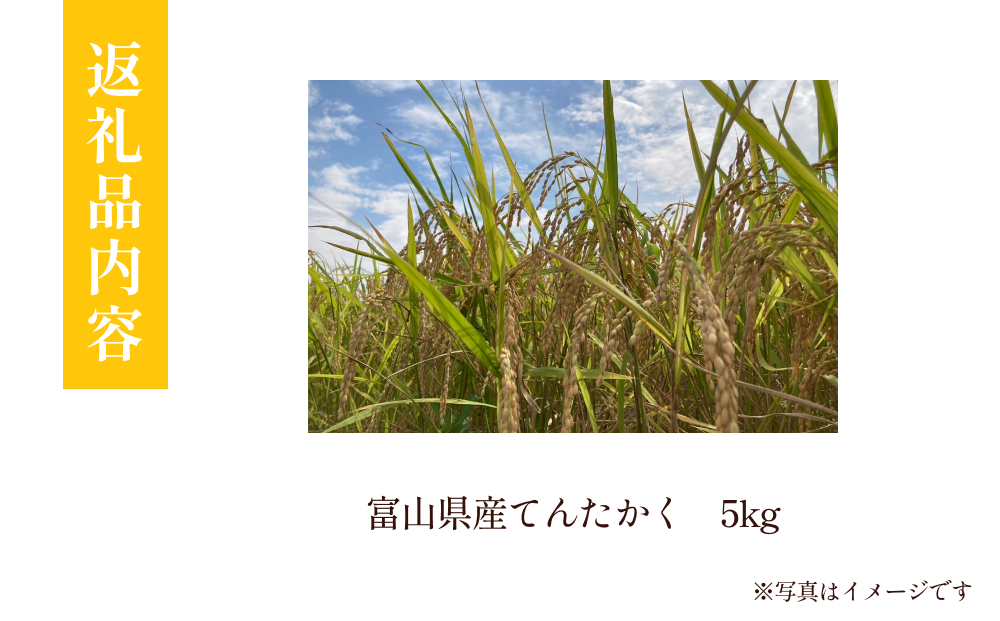 【先行予約】令和6年産 富山県産 てんたかく 5kg 吉笑米 10月