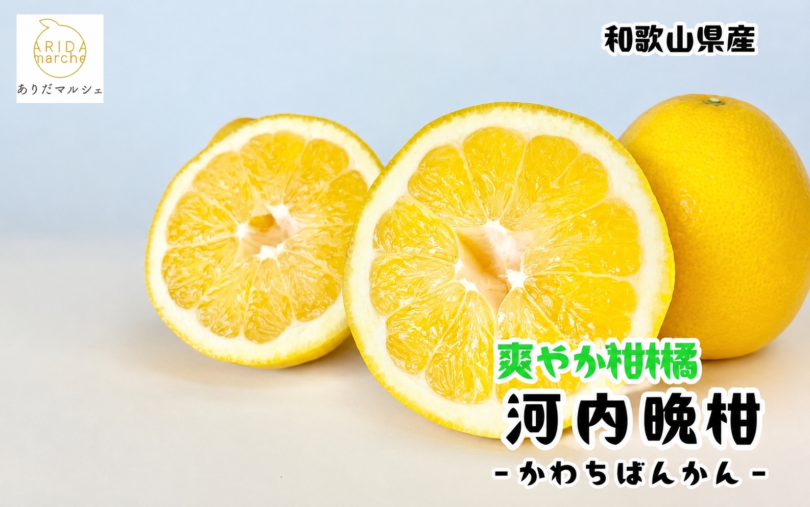 【和製グレープフルーツ】有田育ちの河内晩柑(ご家庭用)　1kg+200g(補償分)【2027年4月上旬～5月下旬頃に順次発送予定】【ard223B】