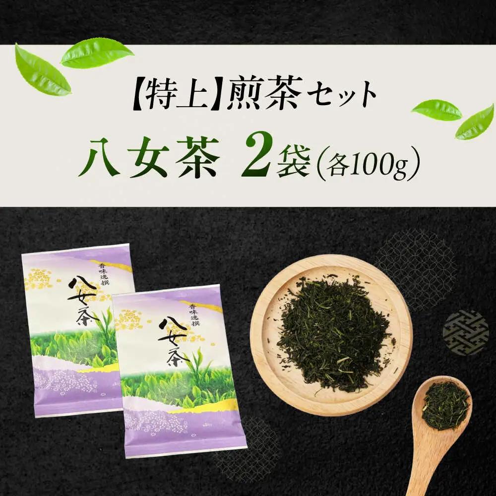 八女茶【特上】煎茶セット 100g×2袋 [VEH018]