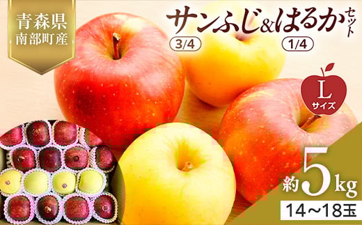青森県産 サンふじ(3/4)・はるか(1/4)セット Lサイズ 5kg 【佐々木あきおはるこ農園】 青森りんご リンゴ 林檎 アップル あおもり 青森県 南部町 三戸 果物 くだもの フルーツ F21U-574
