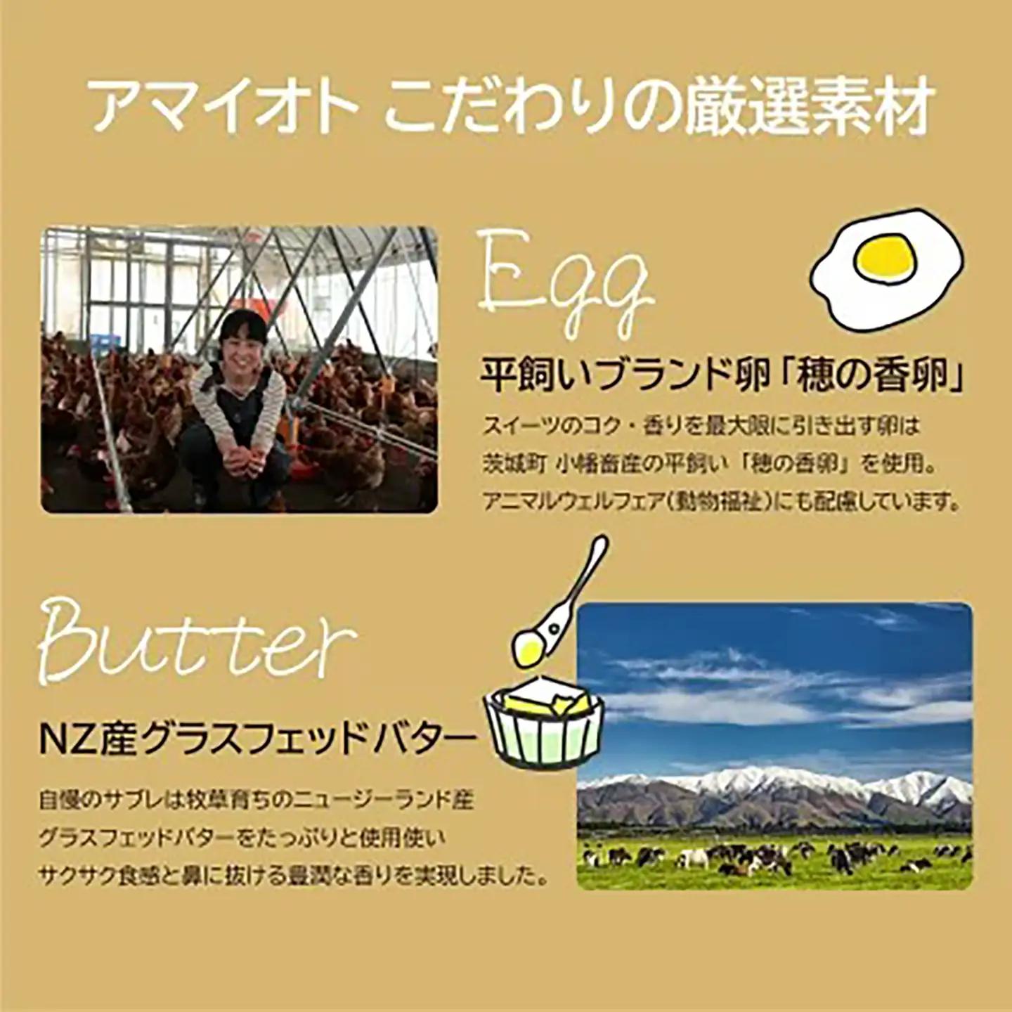 テリーヌ アマイオトの濃厚抹茶テリーヌサンド3個＆芳醇ショコラテリーヌサンド3個