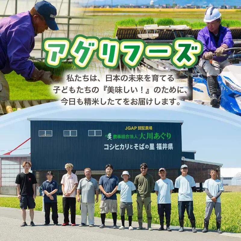 【令和7年産】 【6ヶ月連続お届け定期便】おおかわさんちのコシヒカリ 5kg × 6回 計30kg 精米 [E-10802]