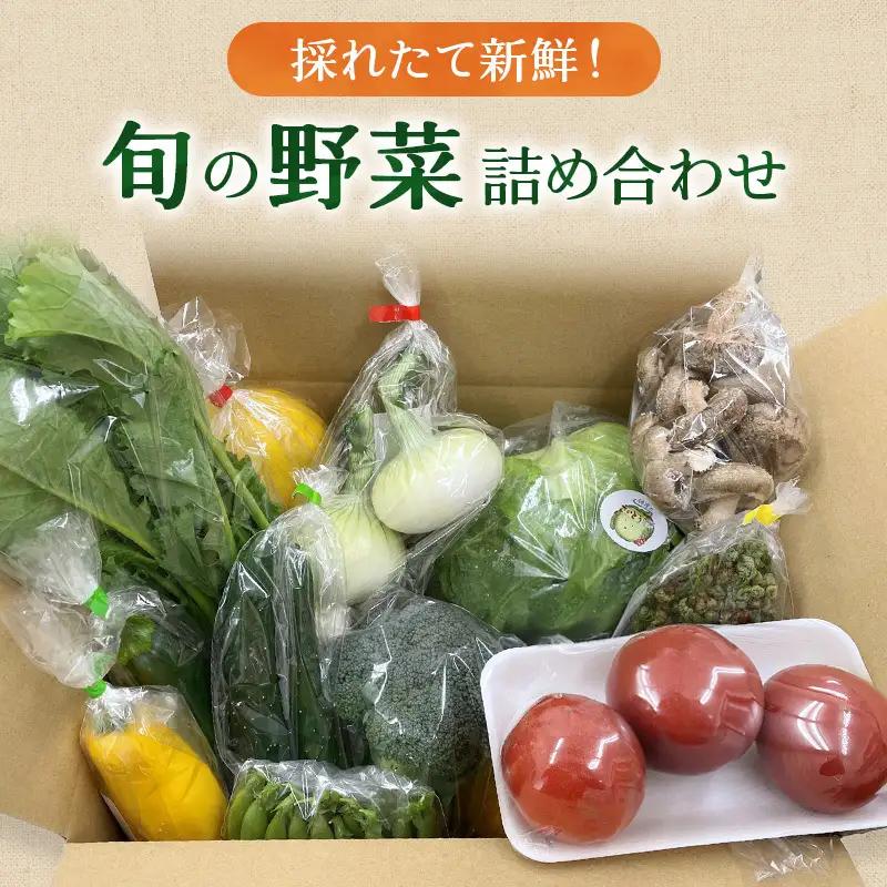 野菜詰合せ まんさいかん島田 旬の野菜 産地直送 野菜詰合せ
