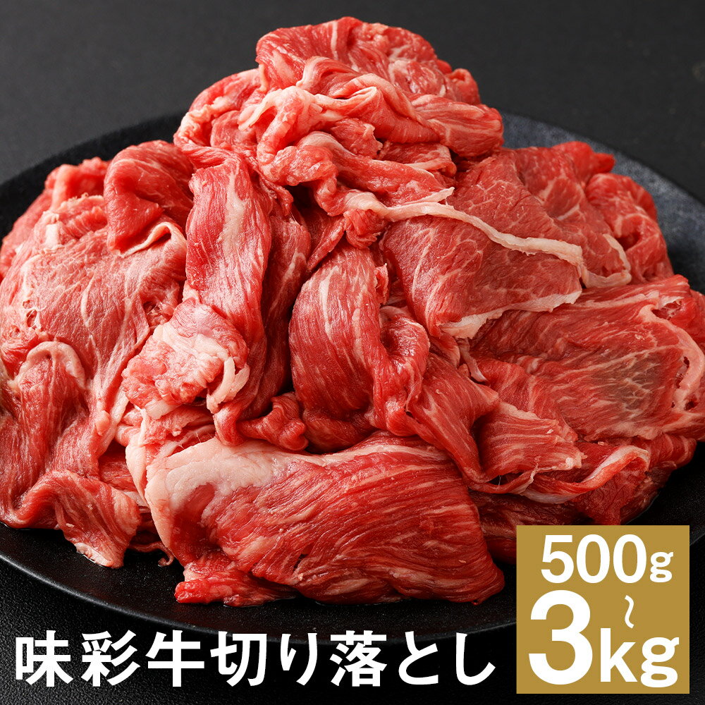 【ふるさと納税】味彩牛 切り落とし 500g/1kg/1.5kg/2kg/2.5kg/3kg 選べる内容量 1パック500g 《90日以内に出荷予定(土日祝除く)》牛肉 スライス 切り落とし お肉 精肉 熊本県産 九州産 国産 冷凍 送料無料