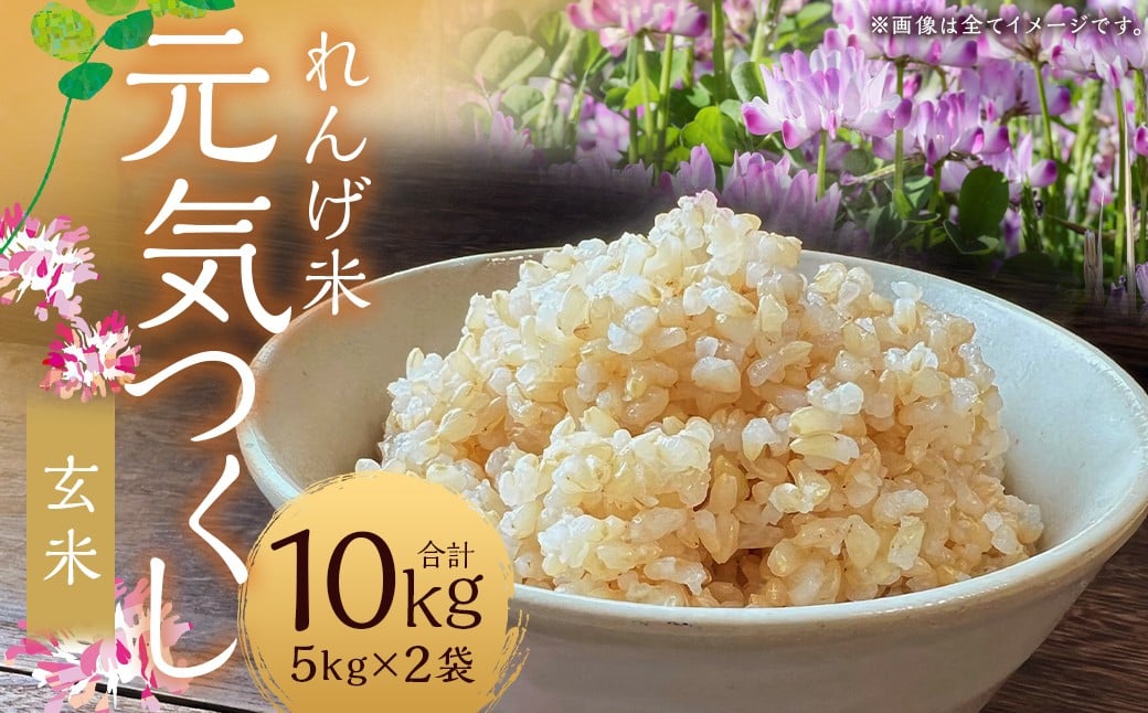 【れんげ米】【令和7年産】 元気つくし（玄米） 10kg（5kg×2袋） お米 玄米 【2026年3月下旬迄順次発送予定】