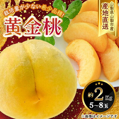 【ふるさと納税】【ふるさと納税】2027年発送 山梨県山梨市産 黄桃 黄金桃 約2kg 5玉～8玉【配送不可地域：離島】【1328634】