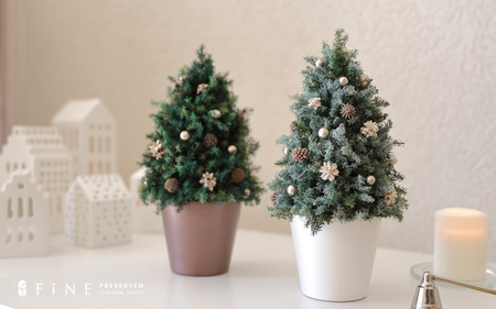 ホリデーツリー【クリスマス限定！申込は11月30日まで】 ブラウン