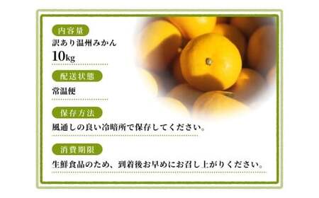 【訳あり】 温州みかん 約10kg 和歌山県産 2S~2Lサイズ混合※2025年11月上旬～2026年2月中旬ごろに順次発送【mrmt010】