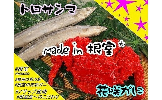 C-59007【12/21まで年内配送】 【北海道根室産】花咲ガニ2尾(計800g以上)、冷凍サンマ10尾