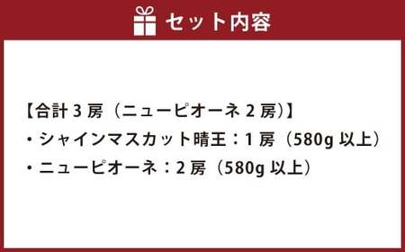 ぶどう 2024年 先行予約 葡萄 詰合せ シャインマスカット 晴王 1房 580g以上 ニューピオーネ  2房（1房 580g以上）（露地栽培） ブドウ 葡萄  岡山県産 国産 フルーツ 果物 ギフ