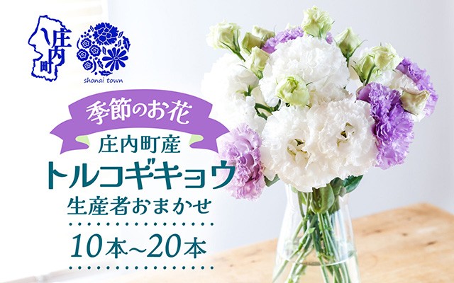 
                  【R8.9月下旬~11月初旬】トルコギキョウ 10本 20本 切り花 生産者おまかせ 2~3色ミックス 旬の花 季節の花 トルコキキョウ 八重咲き フリンジ咲き 生花 花束 冷蔵便 国産 庄内町フラワーラボ
                