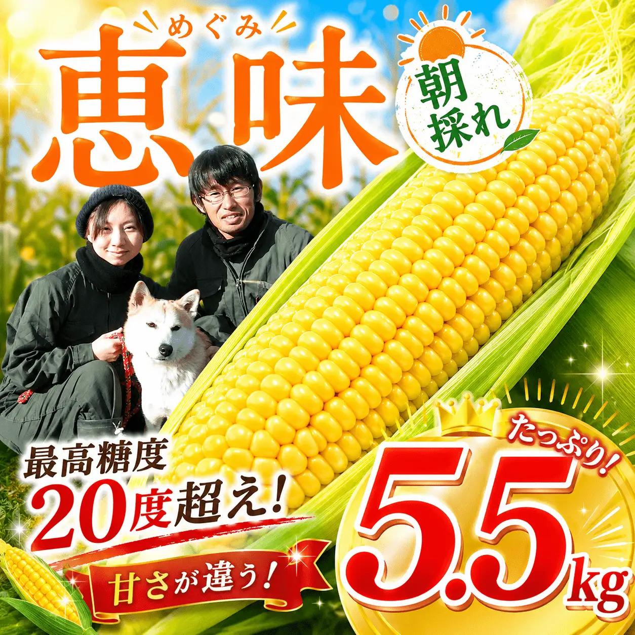 【順次発送開始】めぐみ 朝採れ とうもろこし 5.5kg [SBF002] とうもろこし