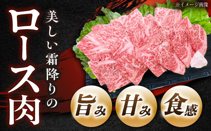 【チルド（冷蔵）発送！】 「飛騨牛」 A5等級 ロース 300g / 牛肉 焼肉 鉄板焼き 網焼き BBQ / 恵那市 / 東美濃農業協同組合 [AUFX007] 300g