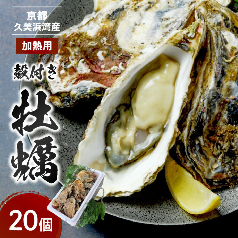 【ふるさと納税】TVで紹介されました！京都・京丹後産牡蠣 約20個 カキ 殻付き ふるさと納税 魚介 久美浜かき 牡蠣 かき カキ 20個 養殖 半斗缶 焼き牡蠣 蒸し牡蠣 人気 国産 貝類 魚介類