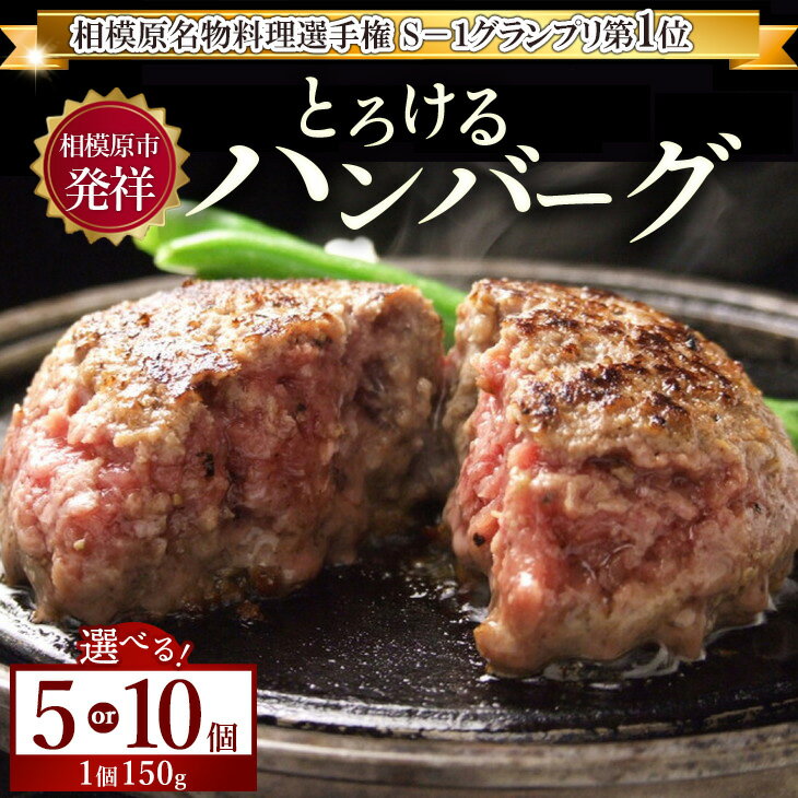【ふるさと納税】＼選べる個数／ とろけるハンバーグ 5個 10個 ｜ 国産牛100％ 黒毛和牛 冷凍