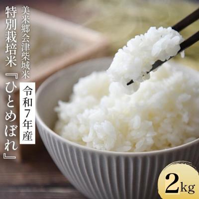 ふるさと納税 喜多方市 令和7年産　特別栽培米　ひとめぼれ　精米　2kg