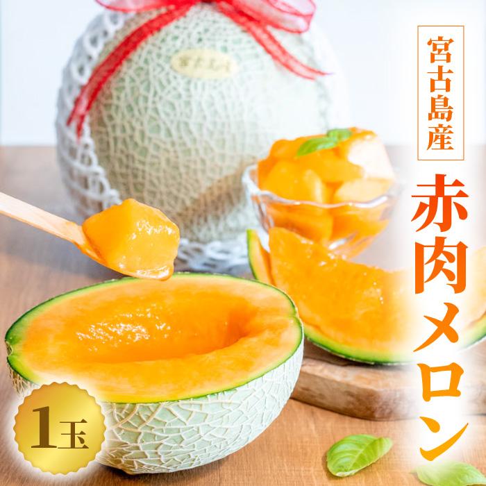 【ふるさと納税】【とみお農園｜農家直送】宮古島産 赤肉メロン 1玉（2kg前後・糖度14度以上）2026年春発送（TN03）｜沖縄 宮古島 おすすめ 母の日 ギフト