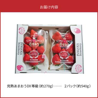 福岡県産【特別栽培】特選DX等級完熟あまおう　270g×2パック