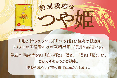 【6か月定期便】庄内米 特別栽培米 つや姫 無洗米 5kg 毎月 5kg×1袋 令和7年産 / 令和8年産 余目産 あまるめ ブランド米 米 山形 亀の尾発祥の地 庄内 お米の定期便【8月下旬発送/入