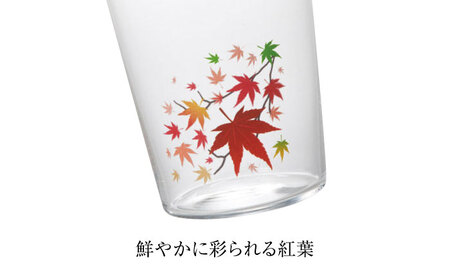 温度で変化する器 『冷感 紅葉 薄手 タンブラー』 多治見市 / 丸モ高木陶器 [TBA257]