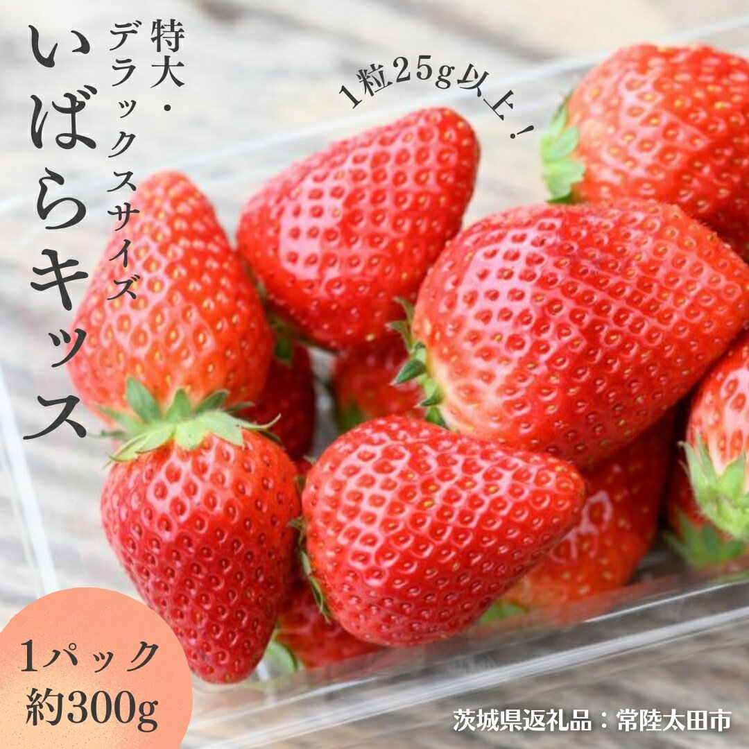 【ふるさと納税】《 2026年 先行予約 》 いばらキッス ( 約300g × 2パック ～ 4パック ) 特大 ・ デラックスサイズ （茨城県共通返礼品／常陸太田市） 茨城県品種 2026年1月から発送開始 フルーツ 苺 イチゴ いちご 新鮮 朝採れ 茨城県 桧山FRUITFARM