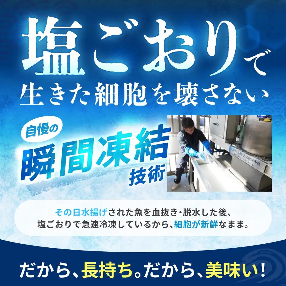 まぐろ 和歌山の天然まぐろ切り落とし 700g【scp120D】