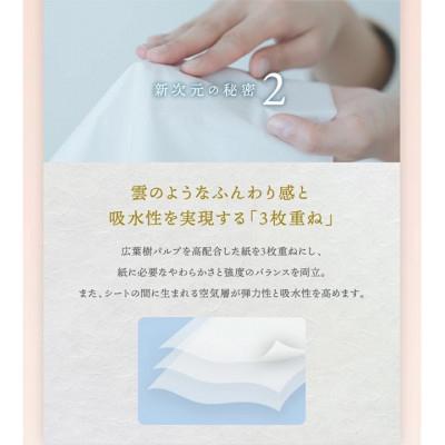 ふるさと納税 蓮田市 【2ヵ月毎定期便】新保湿ティシュ絹雲ボックスティシュ 130組 (3枚重ね) 3個パック×10全3回 |  | 02