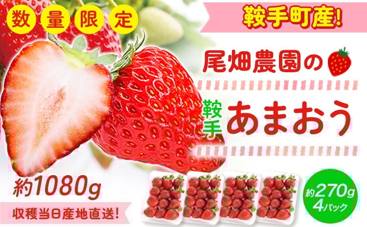 
            農家直送！先行予約 あまおう 約1080g 約270g×4パック 《令和8年1月中旬頃-3月中旬頃出荷》いちご あまおう イチゴ 苺
          