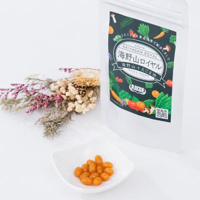 ふるさと納税 岡崎市 〈健康食品・酵素サプリメント〉海野山ロイヤル1袋(60粒入り) |  | 03