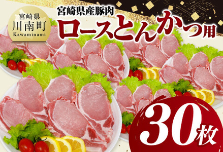 宮崎県産豚肉　ロースとんかつ用（100g以上×30枚） 【 豚肉 豚 肉 宮崎県産 ロースカツ 送料無料 】