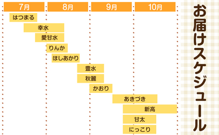 【先行予約】梨 旬の梨 約2～2.5kg 藤末果樹園 熊本県荒尾市産《7月中旬-10月中旬頃出荷》フルーツ 果物 荒尾梨 はつまる 幸水 愛甘水 りんか ほしあかり 豊水 秋麗 かおり あきづき 新高