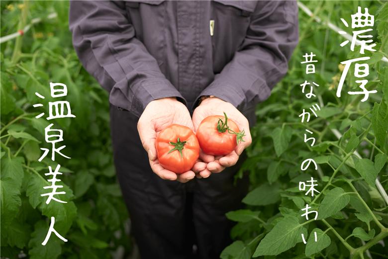 ＜2026年3月上旬より順次お届け＞北海道壮瞥産 オロフレトマト24玉入り（Mサイズ） SBTA028