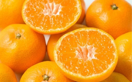 【先行予約】【家庭用】早生みかん 5kg ※離島への配送不可 （2026年11月10日より順次発送） IKTA040