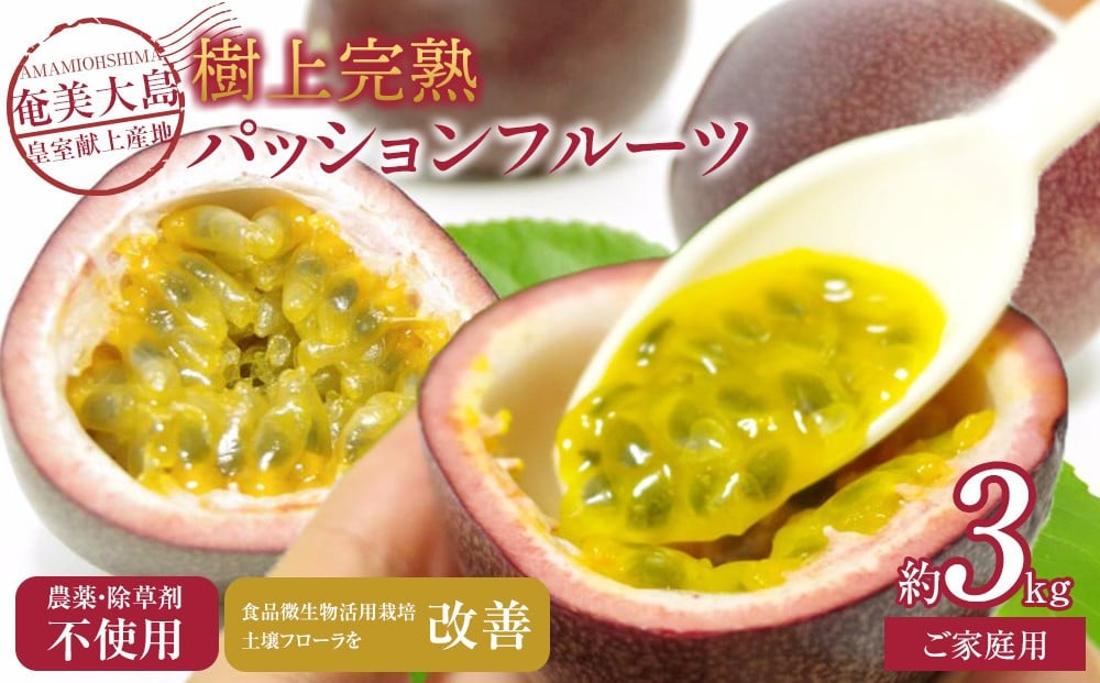 
                  先行受付【農薬・除草剤不使用】奄美大島農家直送　樹上完熟パッションフルーツ３kg | 先行予約 産地直送 パッションフルーツ フルーツ 果物 南国 新鮮 甘み 奄美大島
                