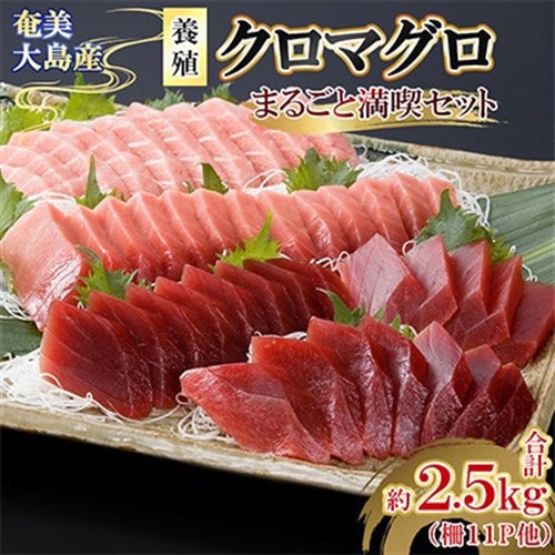 奄美大島産養殖クロマグロまるごと満喫セット(柵11P他)【配送不可地域：離島】【1402678】