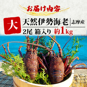 伊勢海老 大 2尾 1kg / 天然 志摩産 大 伊勢エビ 海老 エビ 人気 刺身 刺し身 味噌汁 海鮮 魚介類 産地直送 贈答 お歳暮 お祝い プレゼント 三重県 伊勢 志摩 50000円 5万円 