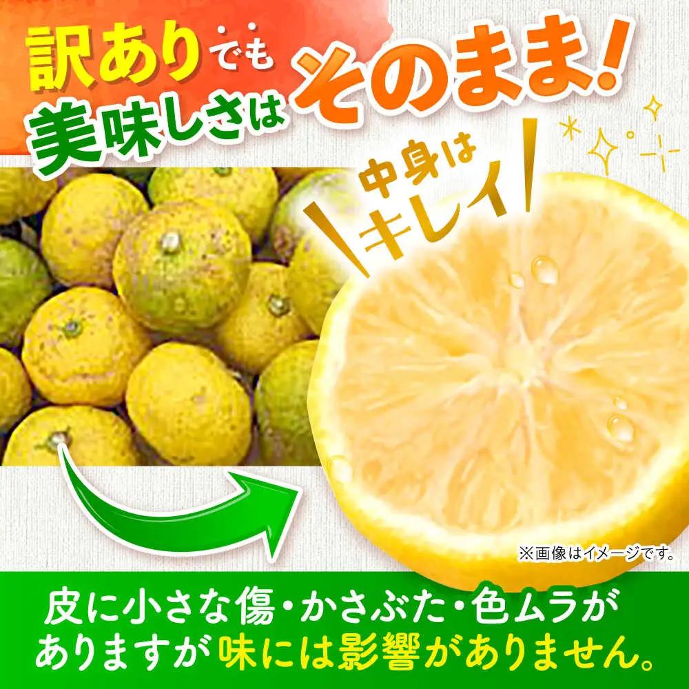【訳あり】【2026年先行予約】種なし柚子3kg ＜2026年11月中旬より順次発送＞[APAQ004] ゆず